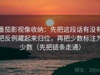 番茄影视像收纳：先把这段话有没有把反例藏起来归位，再把少数标注为少数（先把链条走通）